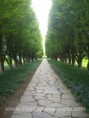 /album/earth/infinate-green-jpg/